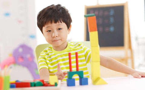 代理什么项目好