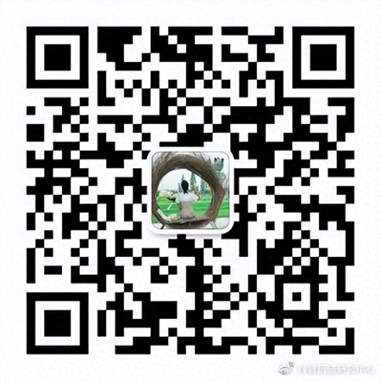 抖音涨粉能干嘛-抖音涨粉创业项目-橘猫