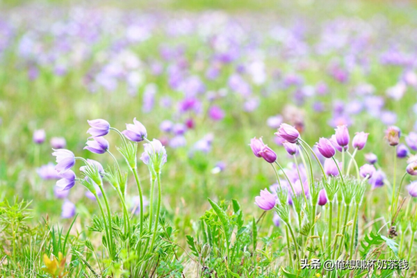 想赚钱有什么办法-想赚钱必须要知道的几种途径