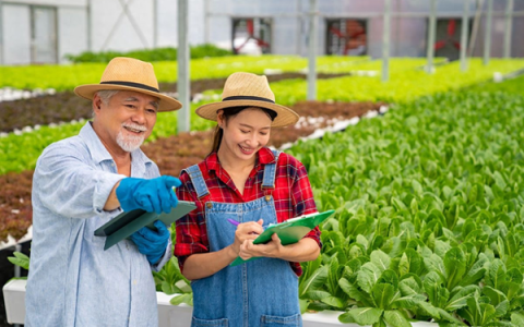 拍农村题材的短视频怎么赚钱