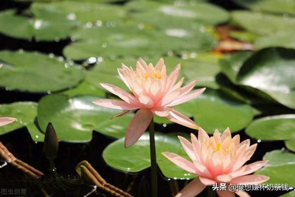 想赚钱有什么办法-想赚钱必须要知道的几种途径