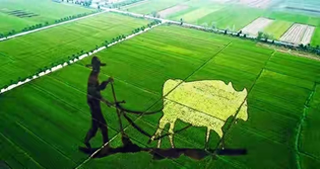 农村冷门暴利行业-农村未来10大暴利行业，你不得不了解！