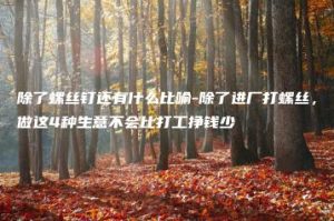 除了螺丝钉还有什么比喻