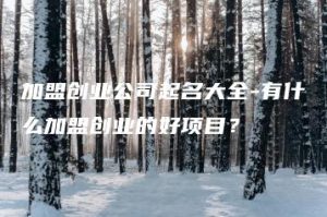 加盟创业公司起名大全
