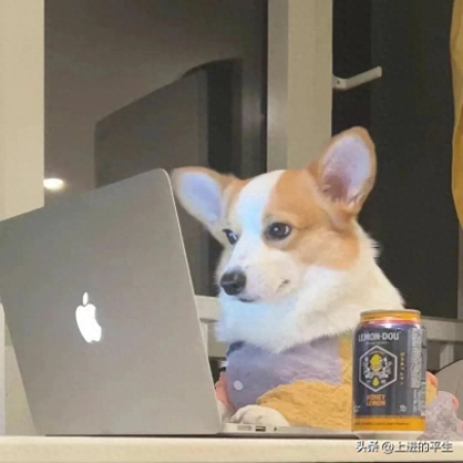 图片[1]-高成本高回报的成语有哪些-创业新潮流：低成本、高回报的三大爆款项目揭秘！-推咖网创