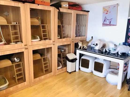 在小区适合做什么生意-适合在小区做的8个小生意，看上去不起眼，实际上赚的比打工要多