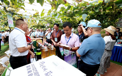 适合45至55岁创业项目有哪些