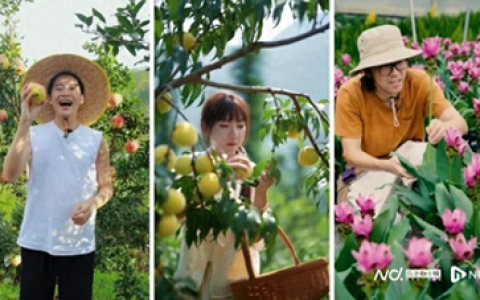 农村年轻人创业有什么政策