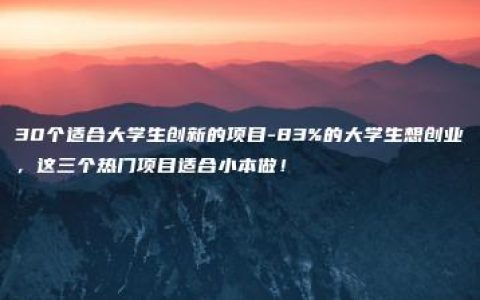 30个适合大学生创新的项目