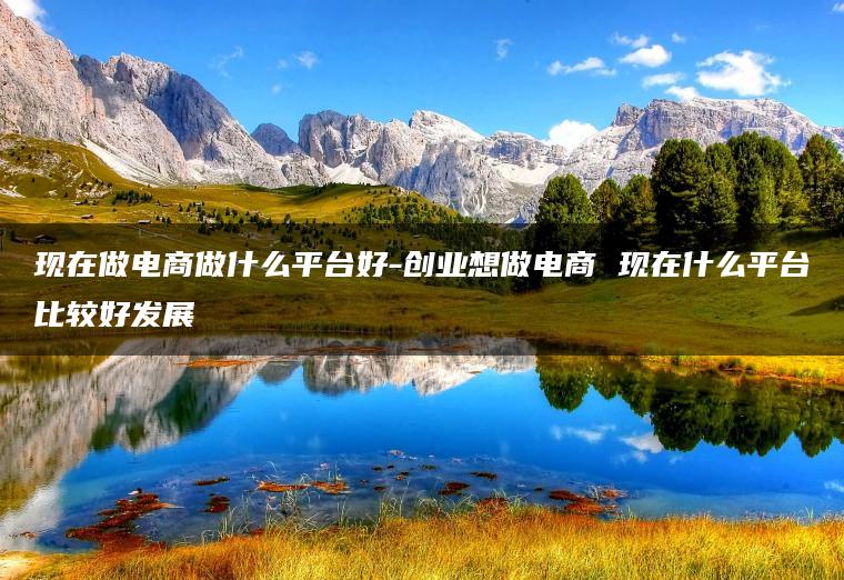 现在做电商做什么平台好-创业想做电商 现在什么平台比较好发展