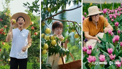 农村年轻人创业有什么政策-为什么“村播”正成为年轻人创业就业的新路径？