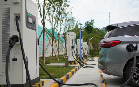 县城空白的生意有哪些