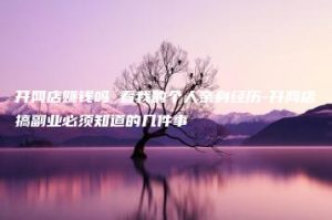 开网店赚钱吗 看我的个人亲身经历