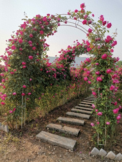 图片[4]-中国农村电商网络零售额情况-全国乡村网商突破1300万家 返乡创业人员怎样选聘？-推咖网创