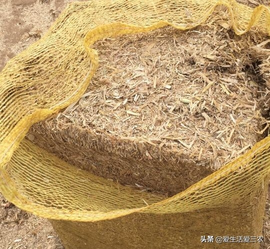 图片[12]-做生意小项目-小项目赚大钱，这十个你看不上眼的小项目，真的很赚钱-推咖网创