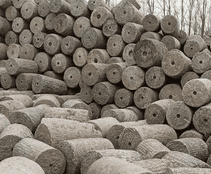 图片[5]-跳板网络-跳板哥闲谈网创项目-推咖网创