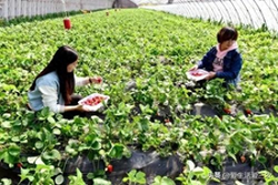 图片[4]-做生意小项目-小项目赚大钱，这十个你看不上眼的小项目，真的很赚钱-推咖网创