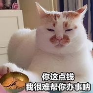 互联网行业那么赚钱-想知道互联网行业咋赚钱的吗？我来讲讲5种盈利模式