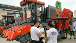 未来农村可能致富的四个行业-想在农村创业的人注意了：未来农村暴富的八大行业你必须知道