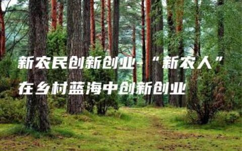 新农民创新创业