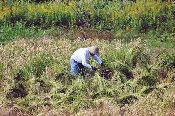 不同维度分析问题的方法-三种不同维度的赚钱方式-劳动、创业和金融