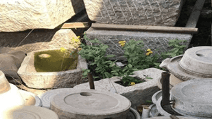 图片[6]-跳板网络-跳板哥闲谈网创项目-推咖网创