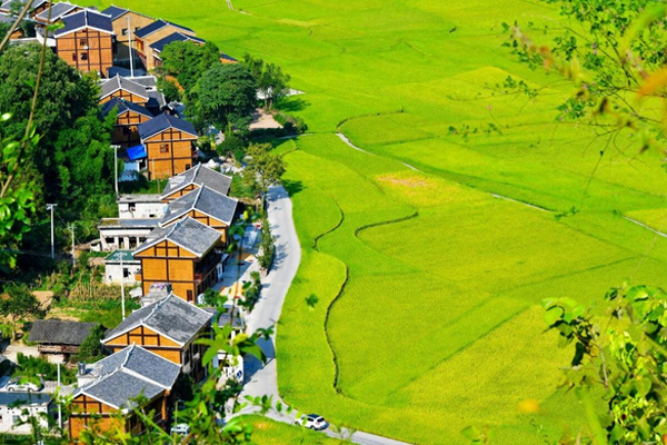 农村摆摊卖什么好卖又赚钱-农村摆摊卖什么赚钱？这几种生意利润高，销量大，可以试试