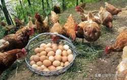 图片[10]-做生意小项目-小项目赚大钱，这十个你看不上眼的小项目，真的很赚钱-推咖网创