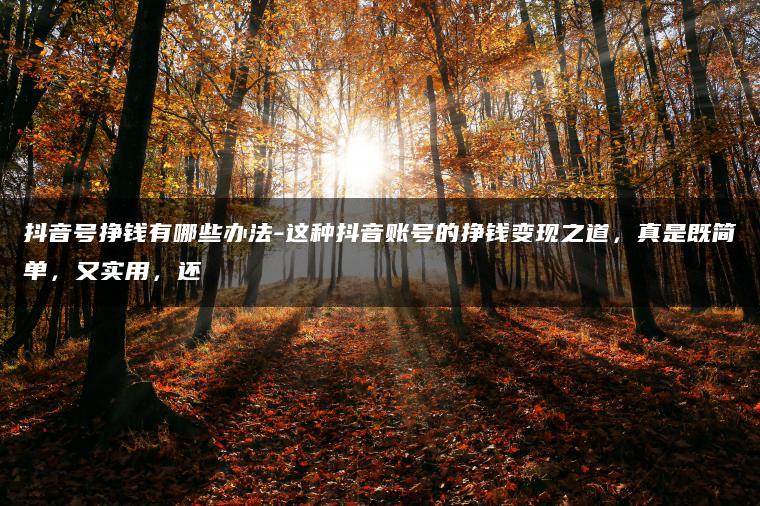 抖音号挣钱有哪些办法-这种抖音账号的挣钱变现之道，真是既简单，又实用，还