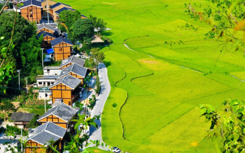 农村摆摊卖什么好卖又赚钱