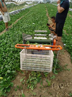 未来农村可能致富的四个行业-想在农村创业的人注意了：未来农村暴富的八大行业你必须知道