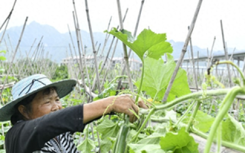 头条自媒体赚钱吗