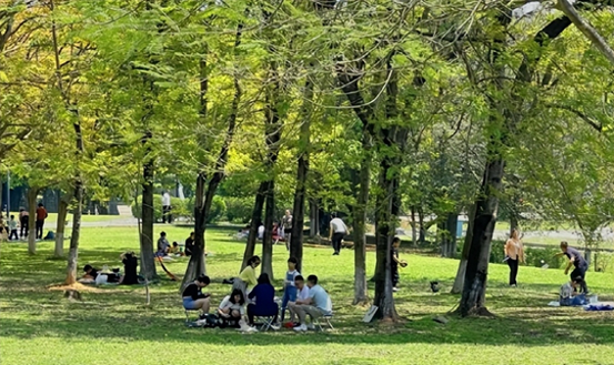 023的属相是什么生肖呢-2024一定不要错过的6个商机，想当老板，想创业必看!"