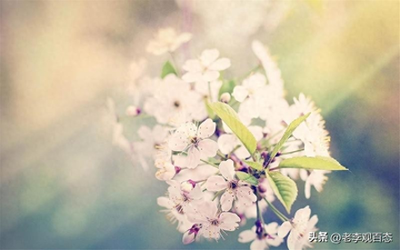 开创副业的话术怎么说-开启副业——提升自我价值的新投资