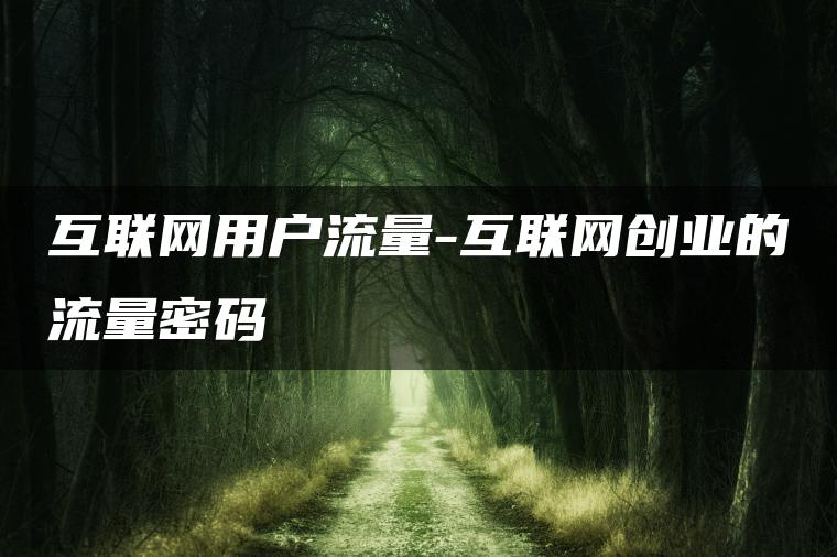 互联网用户流量-互联网创业的流量密码