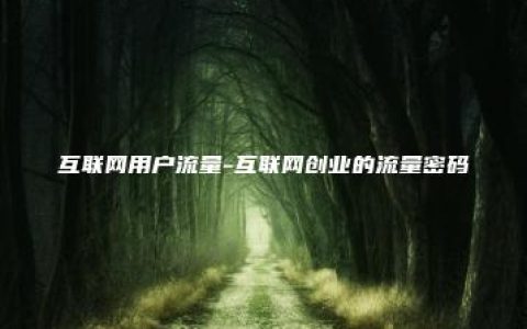 互联网用户流量