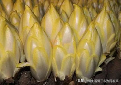 农村做什么能挣到钱-投资不大,月入过万的农村生意有哪些?这四个项目值得考虑