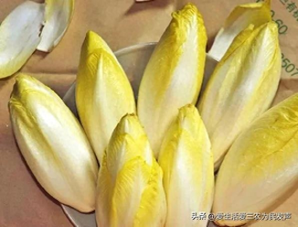 农村做什么能挣到钱-投资不大,月入过万的农村生意有哪些?这四个项目值得考虑