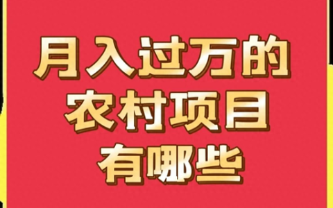 农村做什么能挣到钱
