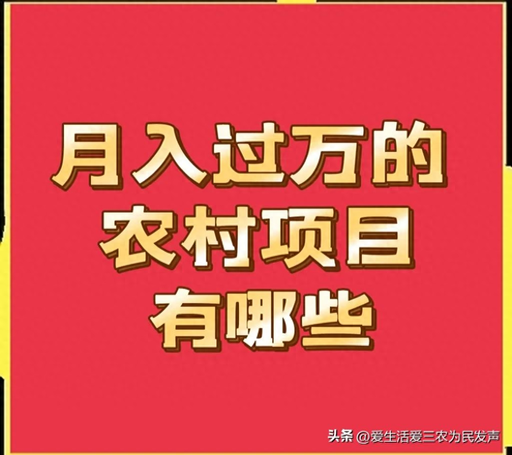 农村做什么能挣到钱-投资不大,月入过万的农村生意有哪些?这四个项目值得考虑