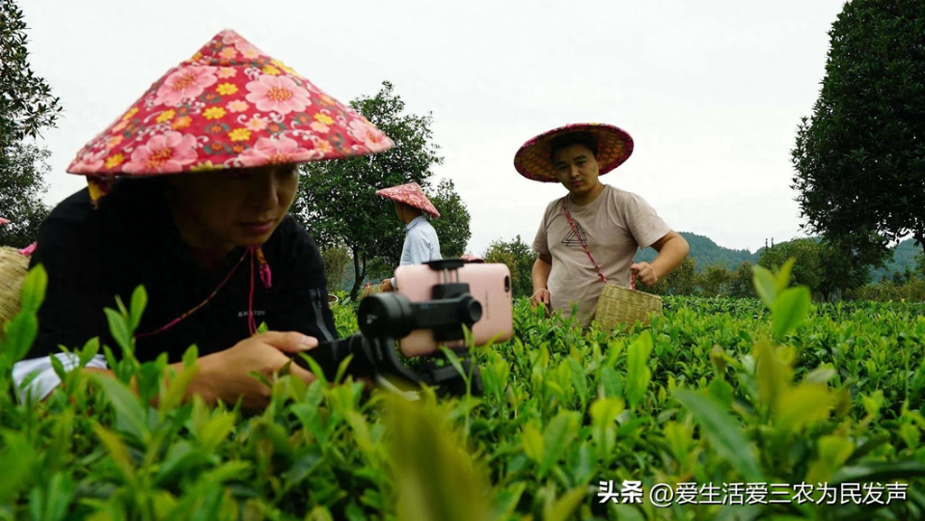 农村做什么能挣到钱-投资不大,月入过万的农村生意有哪些?这四个项目值得考虑