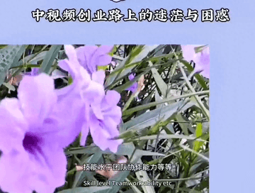 创业视频文案模板怎么写-视频创业路上的迷茫与困惑#生活感悟