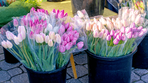 摆摊赚钱项目怎么样啊-摆摊7天收入3000元，年轻人的暴利小生意