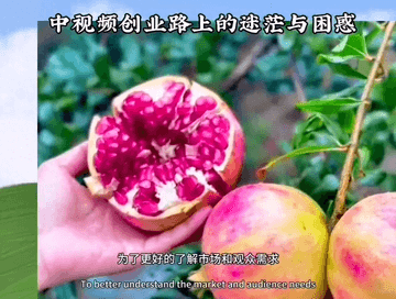 创业视频文案模板怎么写-视频创业路上的迷茫与困惑#生活感悟