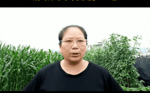 抖音创作服务平台登陆官网