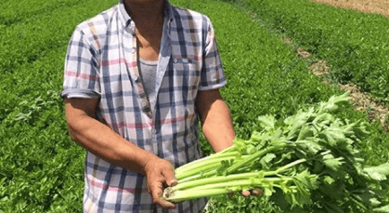 魔兽世界萌新攻略-魔兽世界第七大坑-副业有风险，择业需谨慎！