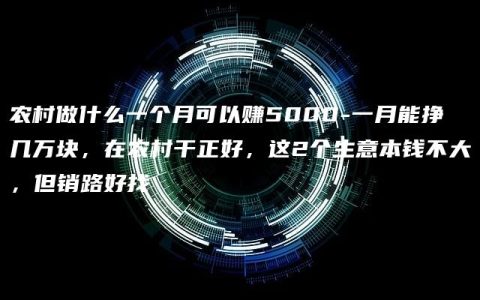 农村做什么一个月可以赚5000