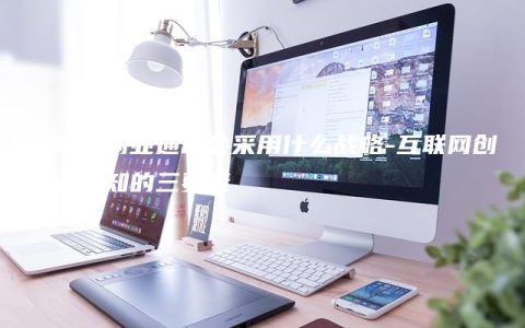 互联网创业通常会采用什么战略
