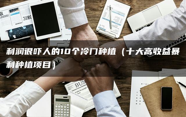 利润很吓人的10个冷门种植（十大高收益暴利种植项目）