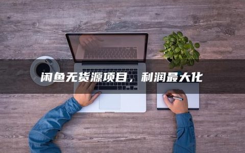 闲鱼无货源项目，利润最大化